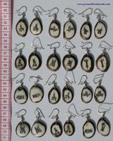Tagua flat earrings